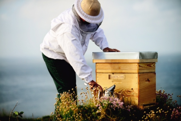 Journée de l'Abeille