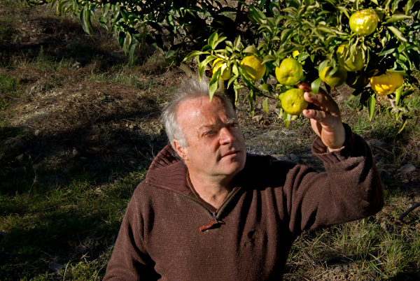 Raphaël Colicci