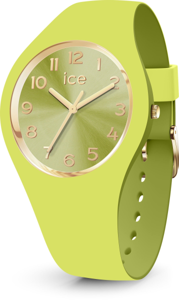 Montres Ice Watch